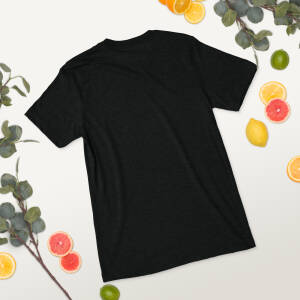 Unisex Tri-Blend T-Shirt | Bella + Canvas 3413